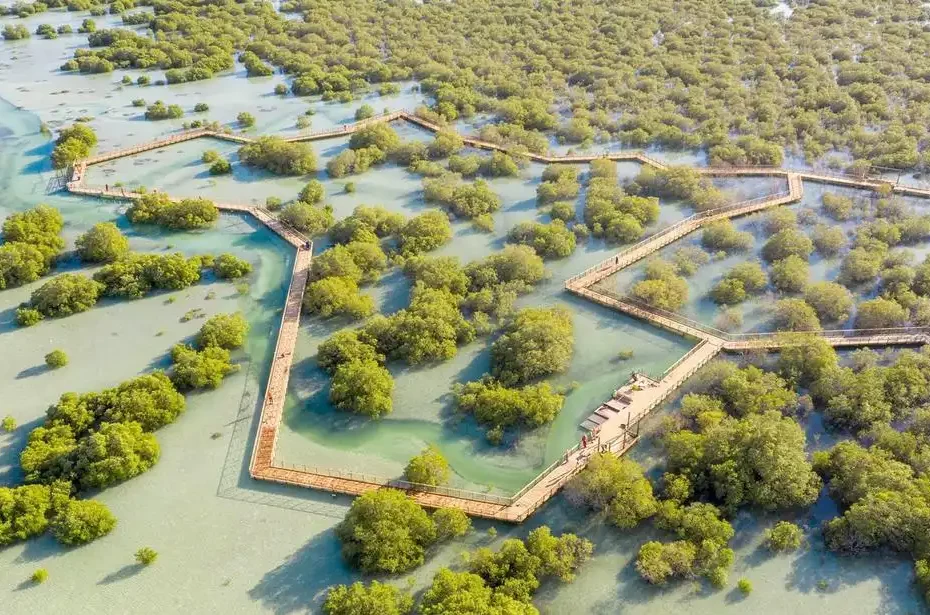 jubail-mangrove-park